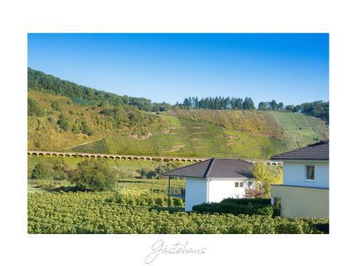 Apartamento Ferienweingut L�tz