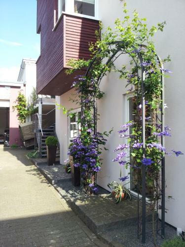 Apartamento Weingut Markus Busch