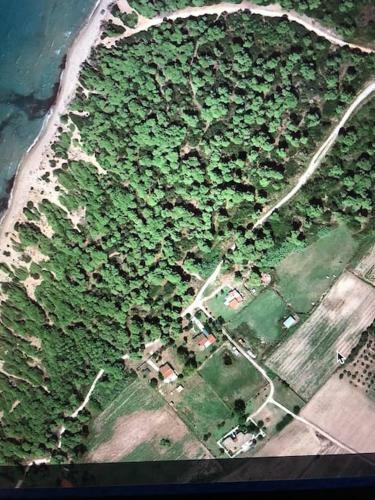 Villa Anastasia! In Strofylia Pine Forest!!!
