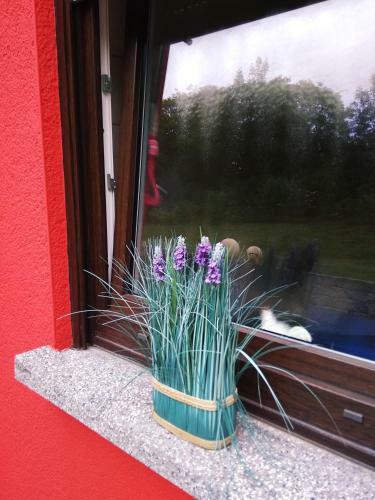 Ferienhaus Rockenbach