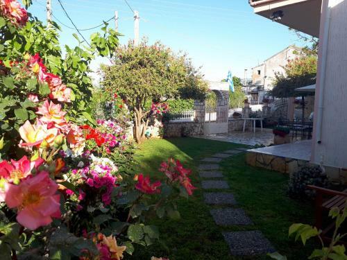 Summer Village House Popi