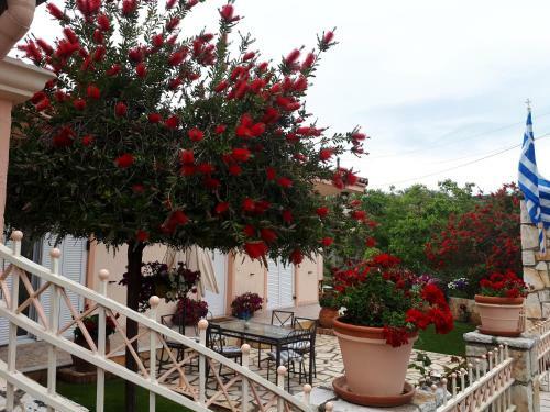 Summer Village House Popi