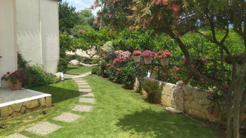 Summer Village House Popi
