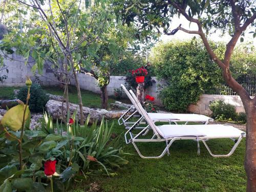 Summer Village House Popi