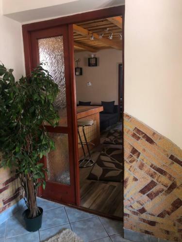 Apartamento Kata Vend�gh�z