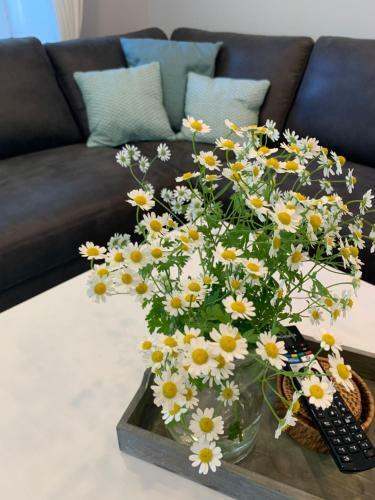 Apartamento Ferienwohnung Landfein