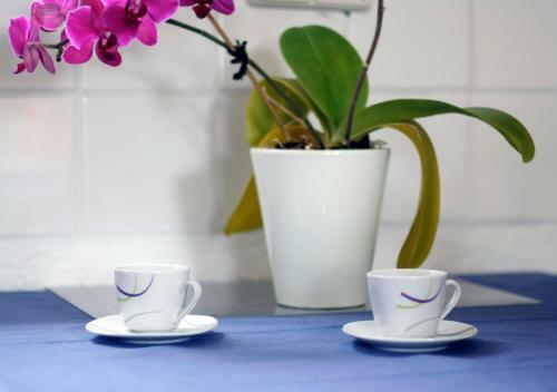 Apartamento Ferienwohnung Gessert