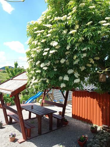 Borina Vend�gh�z