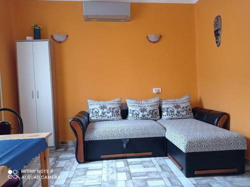 Borina Vend�gh�z