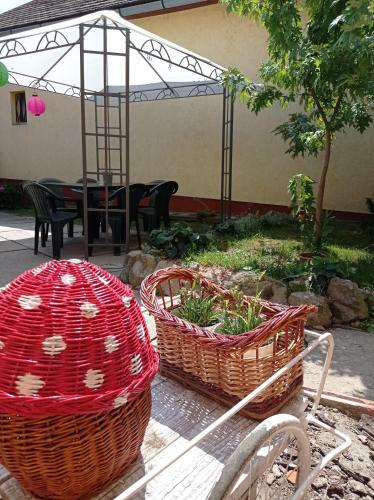 Borina Vend�gh�z