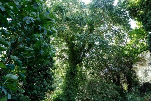 Zoi's House Luxurious Vacation