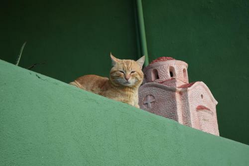 Zoi's House Luxurious Vacation