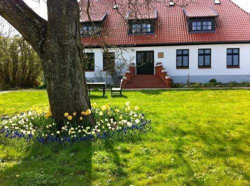 Hostal Gutshaus Ketelshagen