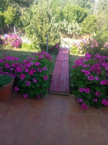 Apartamento Guesthouse Dramoundana