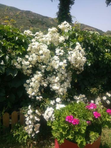 Apartamento Guesthouse Dramoundana