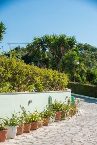 Villa Hercules