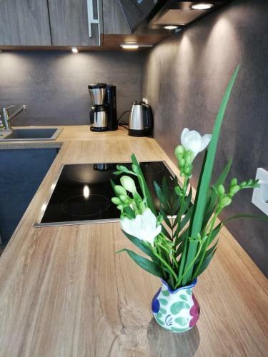 Apartamento Boddenblick-vilm