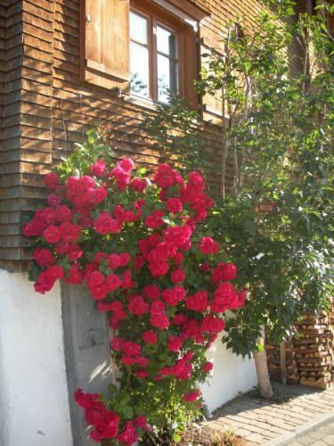 Bed & Breakfast Haus Hubertus