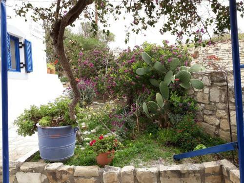Apartamento Aloni