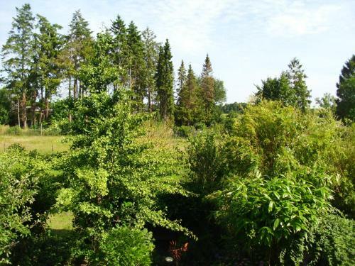 Apartamento Ferienwohnung Lynni