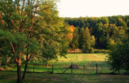 Holiday Home In Somogyvar 38692