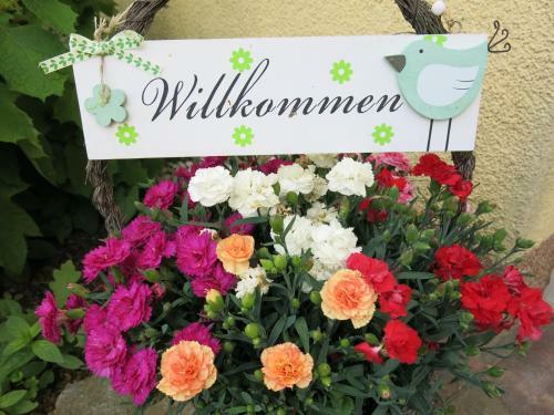 Apartamento Sch�lzke?s Ferienhaus
