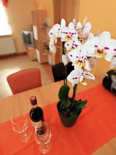Apartamento Sch�lzke?s Ferienhaus