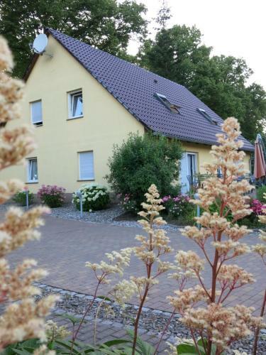 Apartamento Sch�lzke?s Ferienhaus