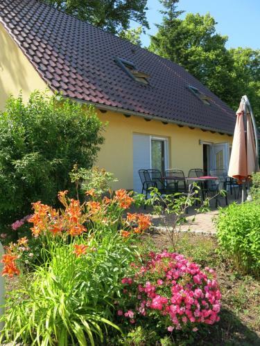 Apartamento Sch�lzke?s Ferienhaus