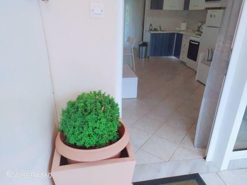 Apartamento Maisonette R&f2