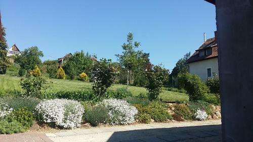 Vince-lak Ntak Ma2oo17137