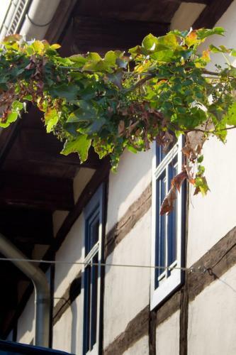 Apartamento Ferienhaus Nicolaus