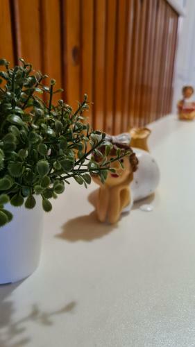Vitorl�s Apartman