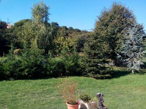 Hostal Gerecse Vend�gh�z