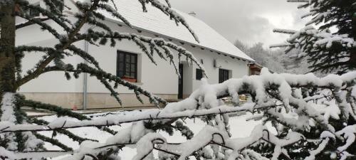Hostal Gerecse Vend�gh�z