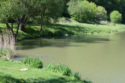 Hostal Gerecse Vend�gh�z