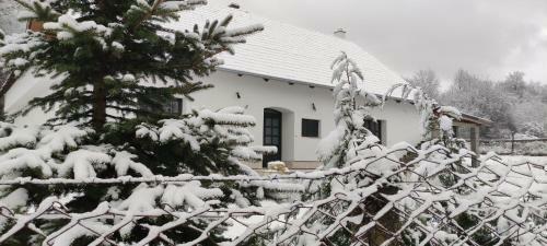 Hostal Gerecse Vend�gh�z