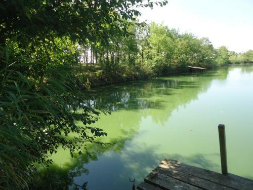 Club Haus Am See