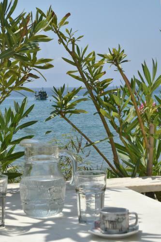 ''sea Front'' Rose's House