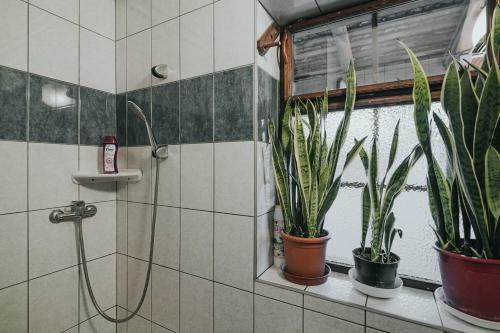 Apartamento Ferencz Porta