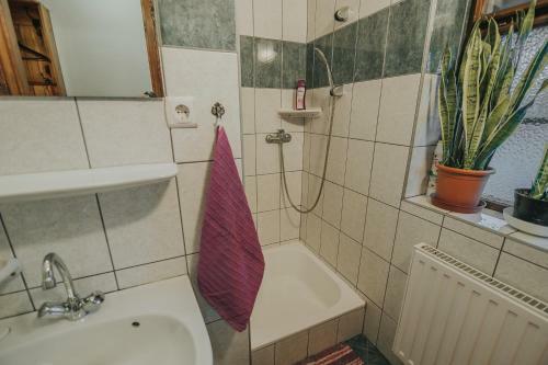 Apartamento Ferencz Porta
