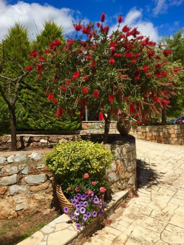 Mouses Apartments-kardamyli