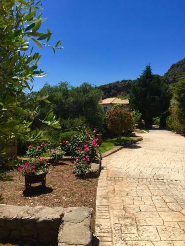 Mouses Apartments-kardamyli
