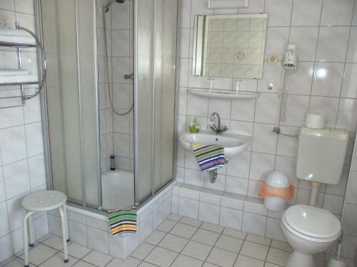 Hostal Hotel Garni Zum Goldenen Ring