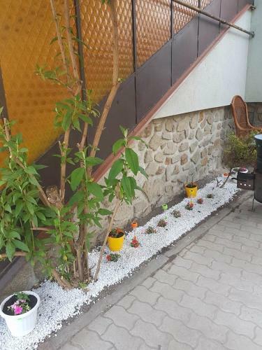 Hostal Nimr�d Vend�gh�z Sopron