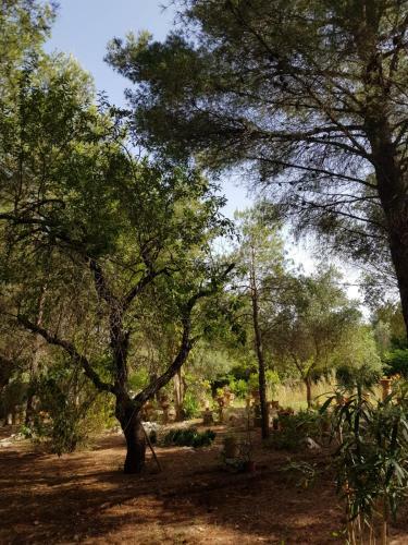 Villa La Dimora Nella Natura
