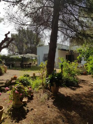 Villa La Dimora Nella Natura