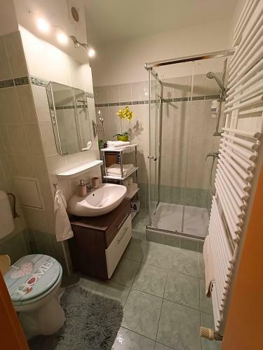 F�szek Apartman Sopron