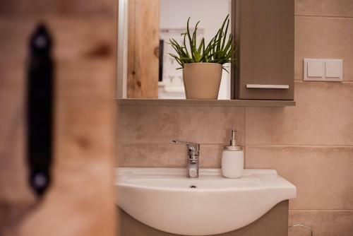 Apartamento R�k�czi Prime
