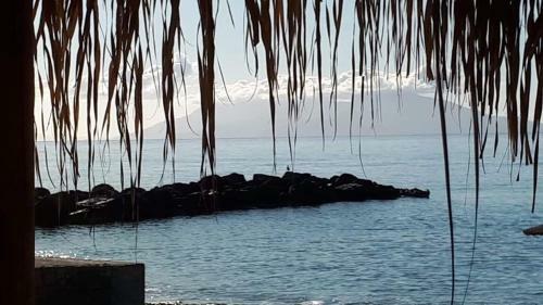 Beachfront Apartment With Amazing Seaview!